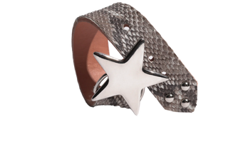 WANDERING STAR SNAKE