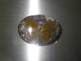 HEBILLA MARIPOSA GRIS