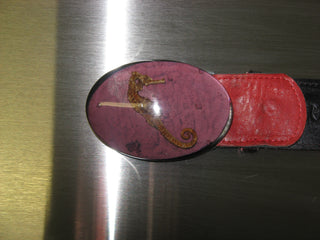 HEBILLA CABALLITO DE MAR MORADA