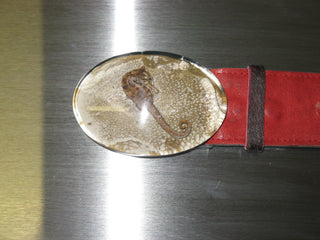 HEBILLA CABALLITO DE MAR SILVER