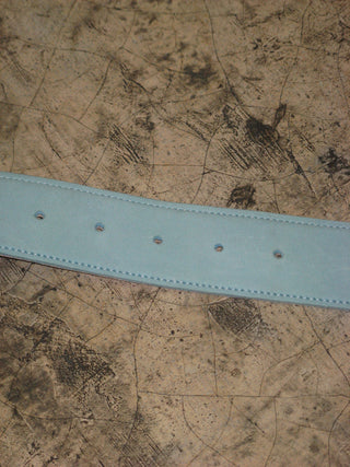 REVERSIBLE BELT