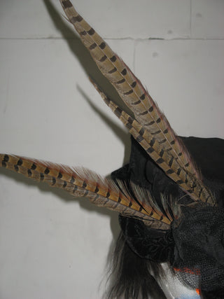 SOMBRERO DE VIUDA