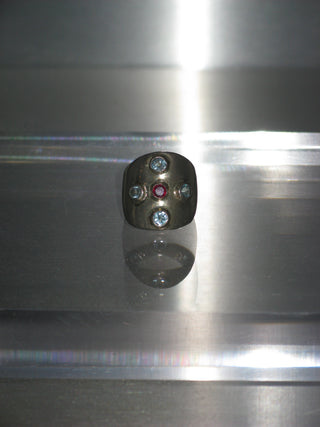 ANILLO ARMADURA